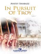 In Pursuit of Troy